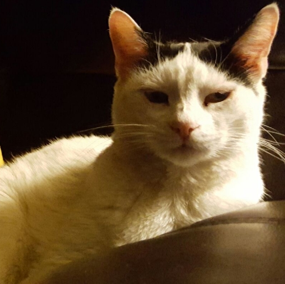 Meet your Posher, Jade!!! Now a Suggested User!!! - Picture 3 of 6